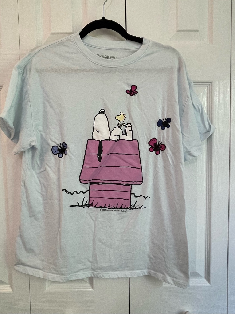 Peanuts Snoopy & Woodstock Pink Doghouse Graphic Tee - Light Blue Embroidered